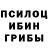 Псилоцибиновые грибы мицелий Solukavia