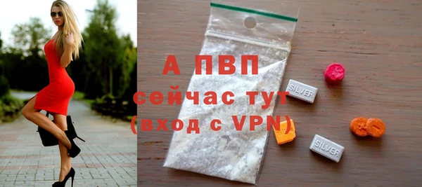 крисы Алексин