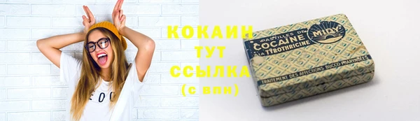 крисы Алексин