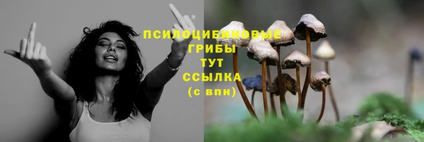 Альфа ПВП Алзамай