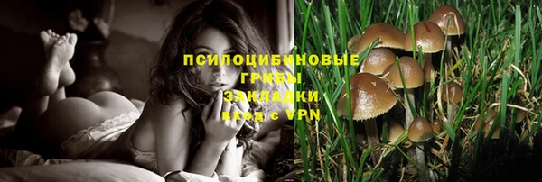 крисы Алексин