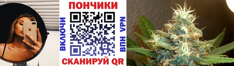 Бошки марихуана семена  Новомосковск 